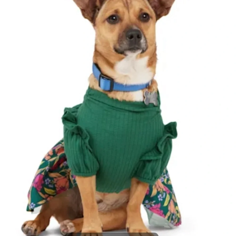 NWT YOULY Sweater dog dress XXS